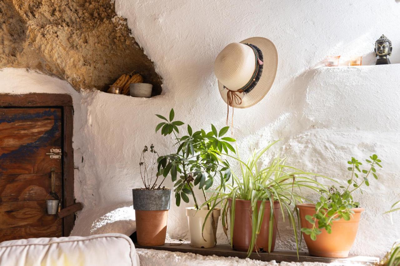 Arico Casa Cueva Gaspara מראה חיצוני תמונה