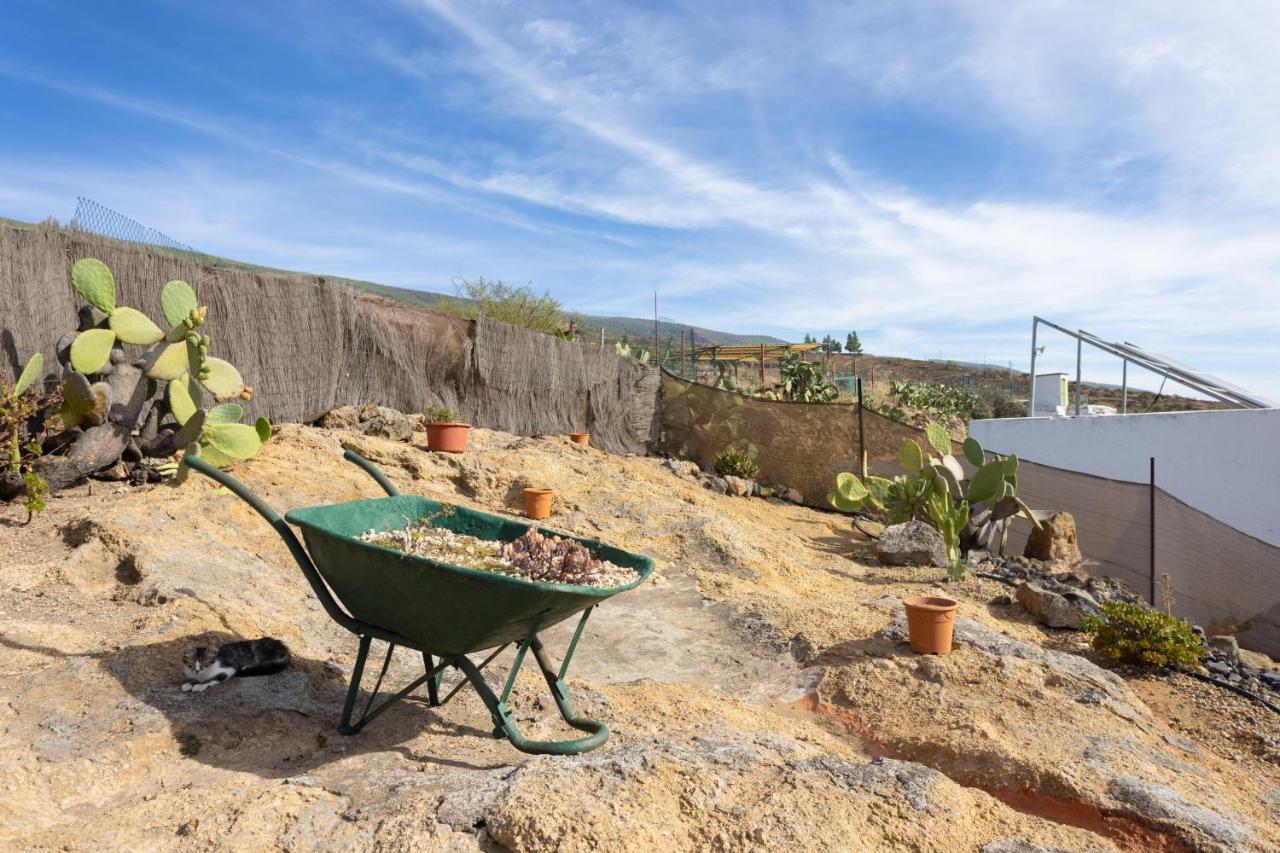 Arico Casa Cueva Gaspara מראה חיצוני תמונה